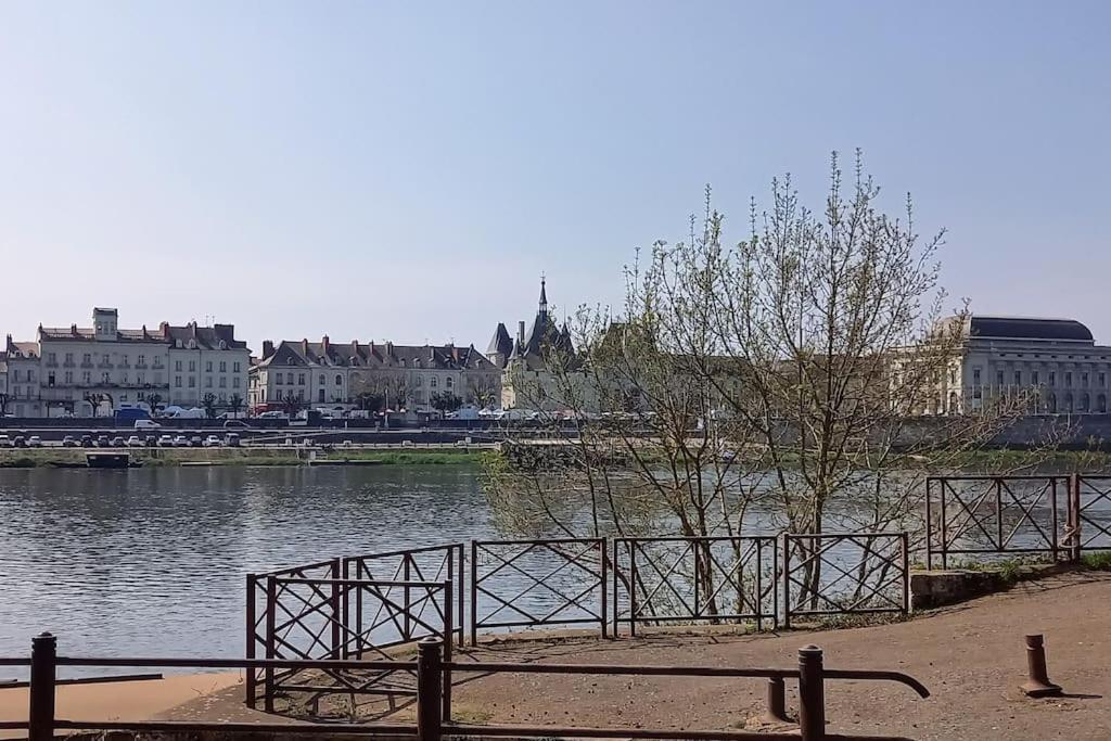 Les Marronniers Appartement Centre Saumur Bord De Loire Eksteriør bilde