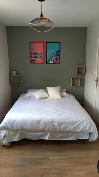 Les Marronniers Appartement Centre Saumur Bord De Loire Eksteriør bilde